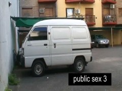 Sex in Mini Van