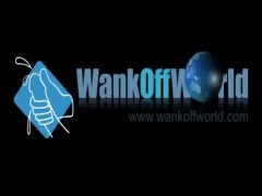9 Fitness Trainers   - By Wank Off World