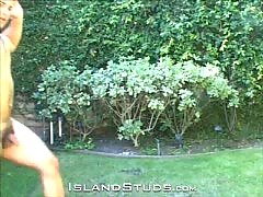 Naked Workout Straight Stud   - By Island Studs