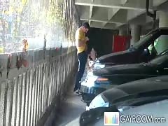 Parking Lots Violations   - By Gay Violations