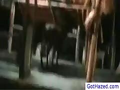 Guys hazed blindfolded by gothazed  - By Haze Him