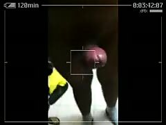 Big cock Indian construction worker fucking in his dorm