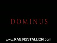 Dominus  - By Raging Stallion